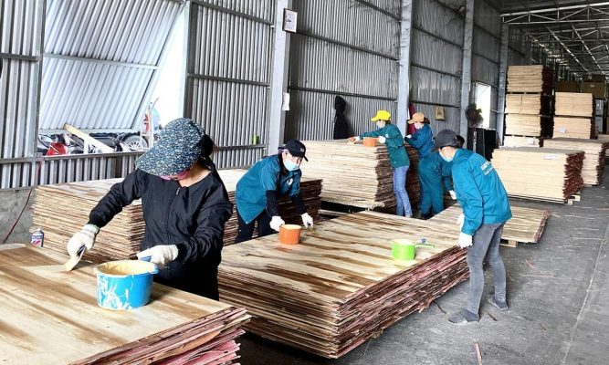 Plywood core fixing