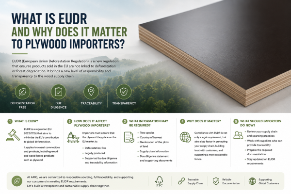 What is EUDR